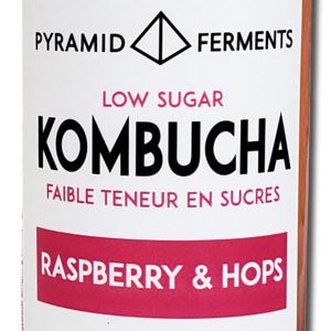 Pyramid Ferments Kombucha with raspberry + hops